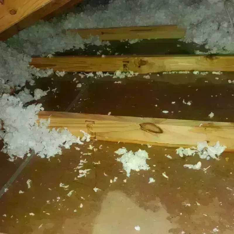 Attic Water Damage in Mountain City, TN