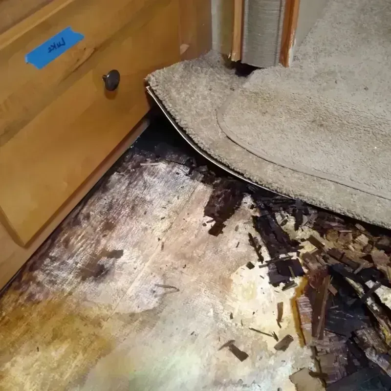 Wood Floor Water Damage in Mountain City, TN